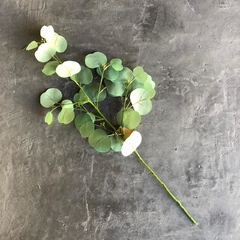 Vara - Eucalyptus Spray - 67 cm