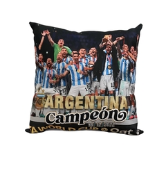 Almohadon 35x35 Argentina Campeón Del Mundo