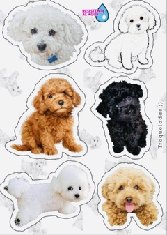 Stickers Autoadhesivos Perritos Caniches