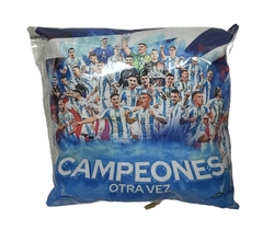 Almohadon 35x35 Selección Campeon De América