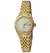 Relógio Orient Femininio Automático 559EB1X C1KX
