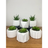 Kit 6 Unidades Vasos de Gesso Texturizado para Suculentas, Cactus e Plantas, lindos para decoraração, presentear, noivados