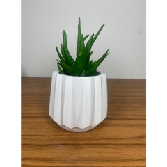 Kit 6 Unidades Vasos de Gesso Texturizado para Suculentas, Cactus e Plantas, lindos para decoraração, presentear, noivados - comprar online