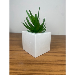 Imagem do Kit 6 Unidades Vasos de Gesso Texturizado para Suculentas, Cactus e Plantas, lindos para decoraração, presentear, noivados
