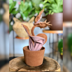 Vaso de Planta Carnívora - Veludo - loja online