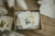 Gift Box 5 prendas Panda Blanco *Algodón Pima Orgánico* - comprar online