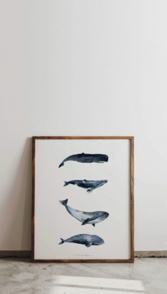 Print Ballenas - comprar online