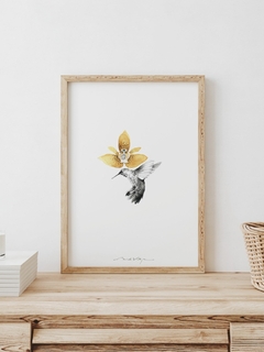 Print Colibrí Grafito - comprar online