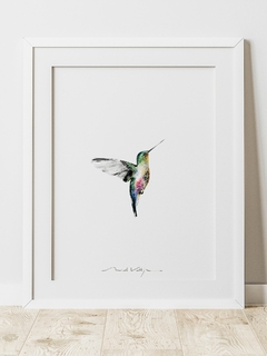 Print Colibrí Siete Colores - comprar online