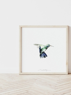 Print Colibrí Azul Cobalto - comprar online