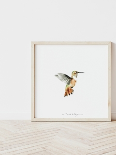 Print Colibrí Oro Ocre - comprar online