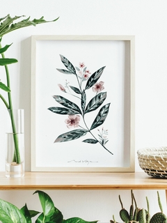 Print Calathea Tissue - comprar online