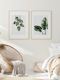 Print Monstera Oblicua - Vallverde