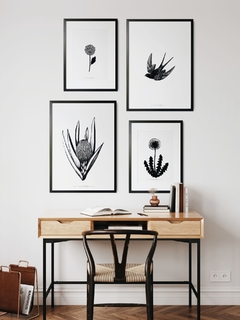 Print Bromelia - comprar online