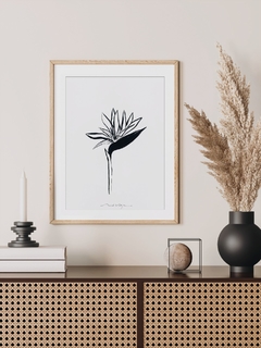 Print Strelitzia Gris - comprar online