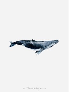 Print Ballena Jorobada - comprar online