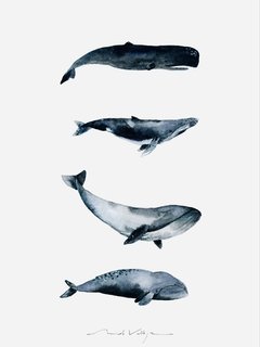 Print Ballenas en internet