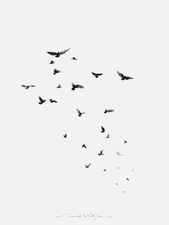 Print Minimal Vuelo