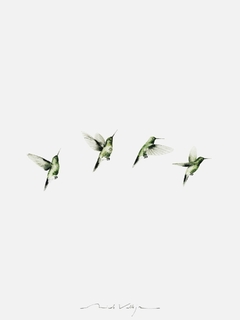 Print Colibrí en Vuelo - tienda online