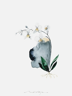 Print Orquídea Amabilis - comprar online