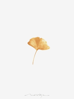 Print Ginkgo Biloba Otoño