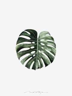 Print Hoja Monstera Deliciosa