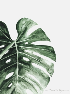 Print Monstera