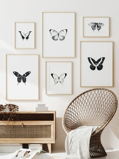 Print Mariposa Pachliopta - comprar online