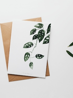 Print Monstera Adansonii - comprar online