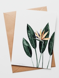 Print Strelitzia Reginae - comprar online