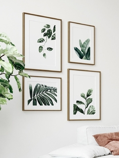 Print Monstera Adansonii en internet