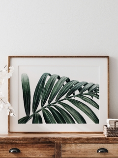 Print Kentia Palm - comprar online