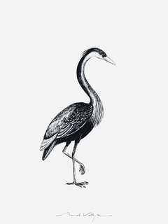 Print Heron Gris II