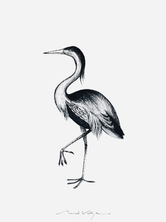 Print Heron Gris