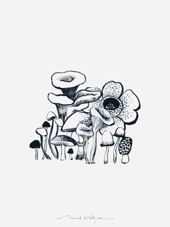 Print Fungi Gris