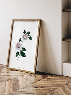 Print Passiflora - comprar online