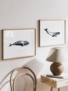 Print Ballena Rorcual - comprar online