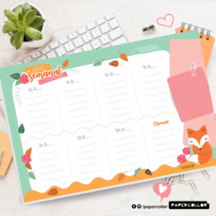 PLANNER SEMANAL RAPOSINHA - comprar online