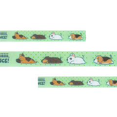 Fita Adesiva - Washi Tape Pet - Memorie Papelaria