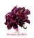 Buquê de Noiva com Flores Naturais Calla Vinho Marsala - BN00018