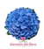 Buquê de Noiva com Flores Naturais em Formato Redondo de Hortênsias Azuis Claras ou Azul Médio - BN00216 - Harmonia das Flores