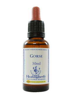 GORSE FLORAL DE BACH 30ML - comprar online