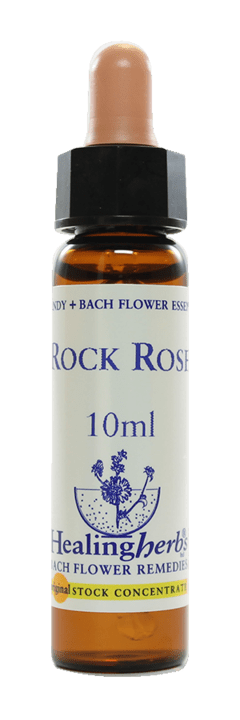 ROCK ROSE FLORAL DE BACH 10ML - comprar online