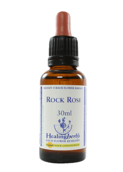 ROCK ROSE FLORAL DE BACH 30ML - comprar online