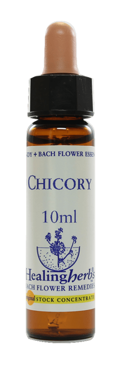 CHICORY FLORAL DE BACH 10ML - comprar online