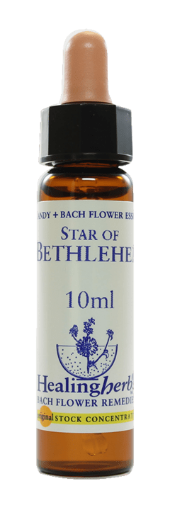 STAR OF BETHLEHEM FLORAL DE BACH REVENDA 10ML