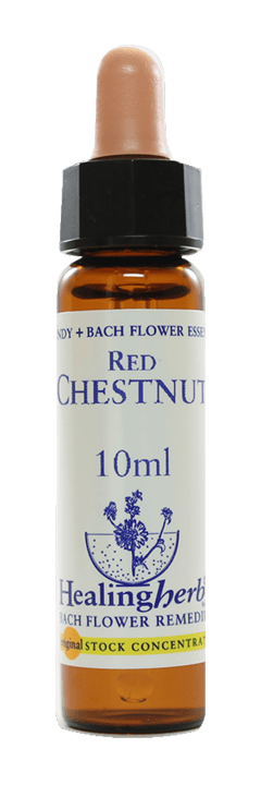 RED CHESTNUT FLORAL DE BACH 10ML - comprar online