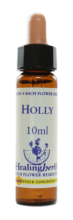 HOLLY FLORAL DE BACH REVENDA 10ML - comprar online
