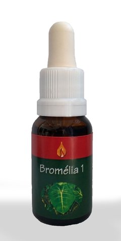 BROMELIA 1 FLORAIS ARARETAMA 15ML