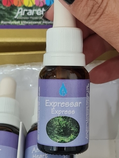 EXPRESSAR- KIT CHACRAS ARARETAMA